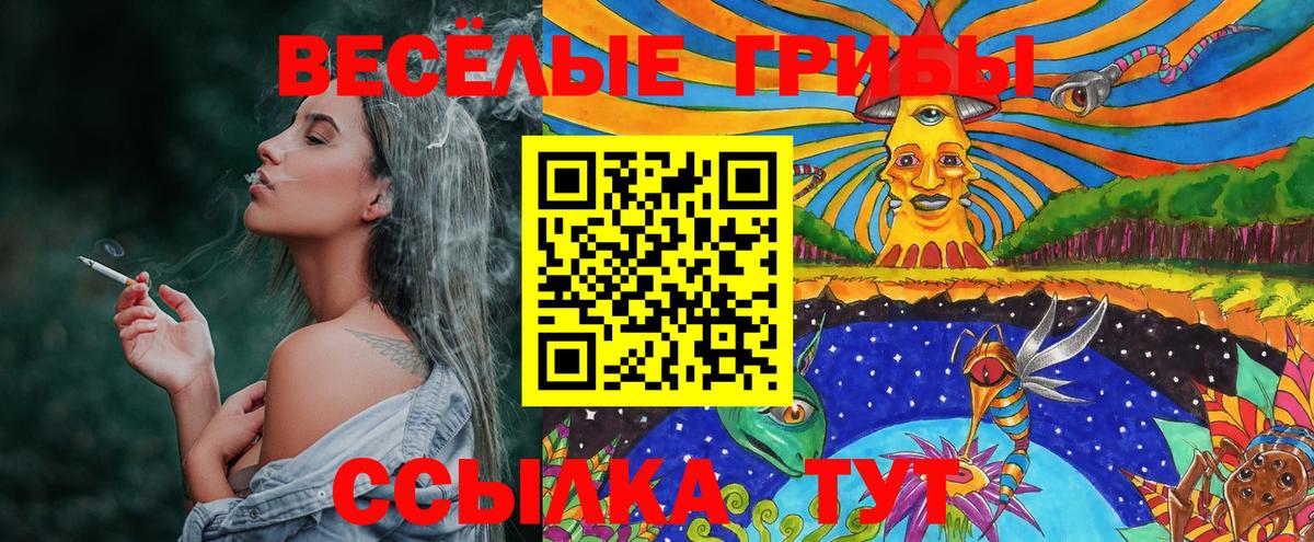 Муравленко  купить закладку  Вход с VPN  Псилоцибиновые грибы прущие грибы 
